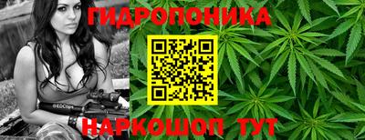 мяу мяу мука Малоярославец